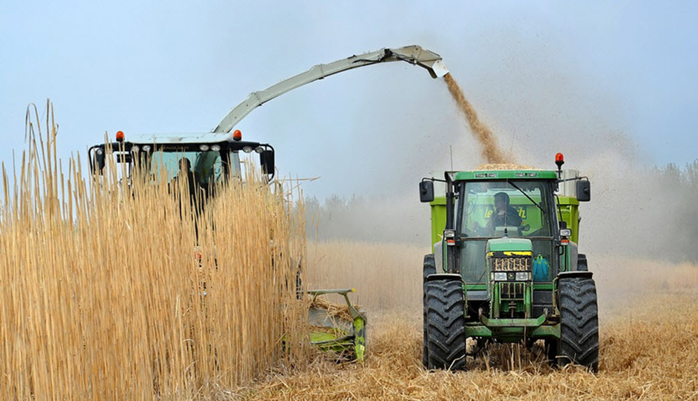 biofuel harvesting